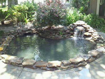 Koi Pond