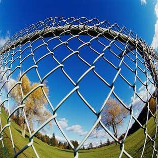 Chain Link