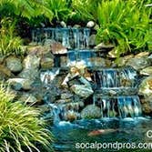 Photos by the Pond Pros of Southern California Advanced Pond Pro Inc #1