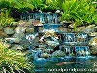 Photos by the Pond Pros of Southern California Advanced Pond Pro Inc #1