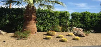 Photos from Sancho's Landscape