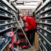 Aaa Organized plumbing