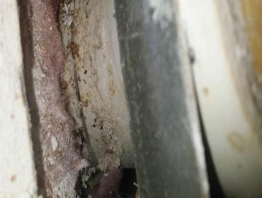 Photo(s) from Tyco Plumbing