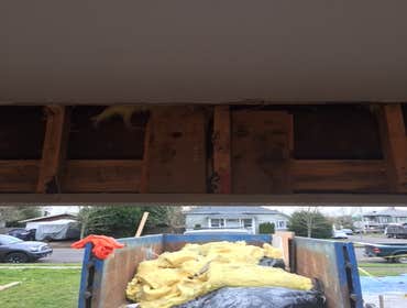 Photos from Kelly & Sons Construction Inc
