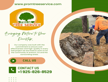 Photos by Pro M Tree Service #72