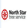 North Star Tree Service logo