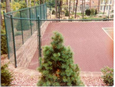 Wayne's Fence actual projects Wood, PVC, Iron/Aluminum, Chain Link, Swimming Pool Fence, Baseball Fence, Tennis Court Fence, Industrial Fence, Horse an