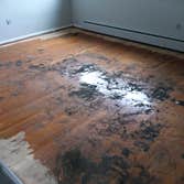 Photos by C&g Hardwood Flooring #1