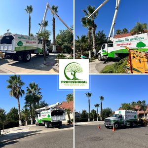 Photos by Professional Tree Service Usa #3