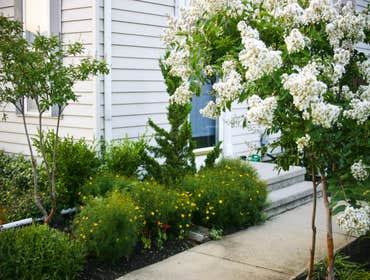 Photos by Rootstock Landscaping #1
