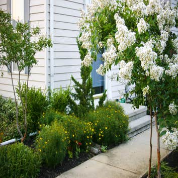 Photos by Rootstock Landscaping #1