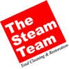the Steam Team logo