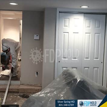 FDP Mold Remediation of Silver Spring