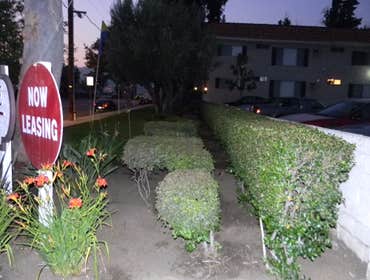Professional Groundworks Photos