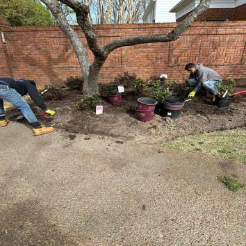 Ruiz Landscaping & Tree Trimming