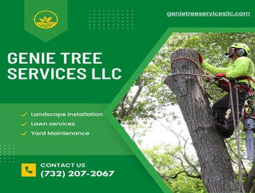 Photos by Genie Tree Services LLC #5