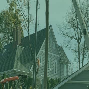 Rod's Tree Service & Landscaping LLC