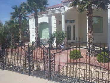 Palm Trees and Rod Iron