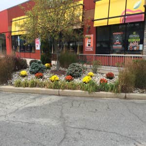 A local eatery gets some color