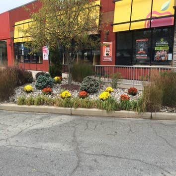 A local eatery gets some color