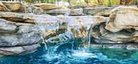 Photos from DC Landscapes