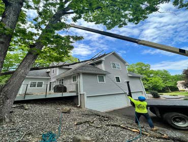 Photos by ALX Tree Services LLC #1