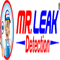Photos by MR. Leak Detection of Loganville #1