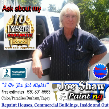 Joe Shaw Painting