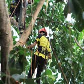 Los Angeles Tree Professionals