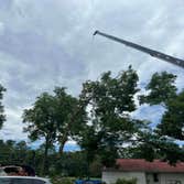 Aable John's Tree Service