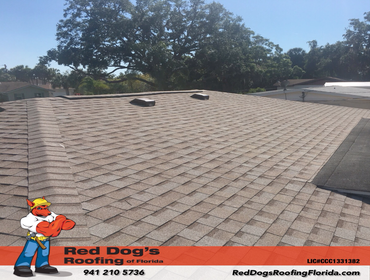 Photos by Red dog's Roofing of Florida #1