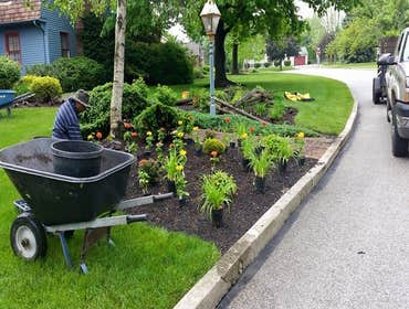 Photos by Amigos Lawn Care & Tree Service #1