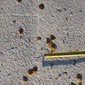 Project photos from The Texas Roof Medic