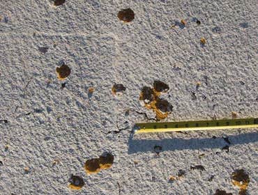 Project photos from The Texas Roof Medic