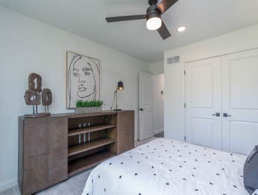 Addison Walkout Basement