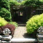 Photos by Re Landscapes Inc #1