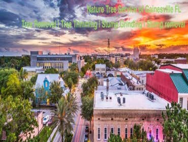 Photos by Nature Tree Service of Gainesville #1