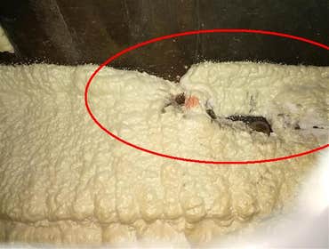Photos by Home and Structure Inspections #1