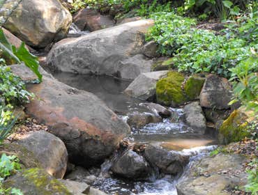 Sandstone creek