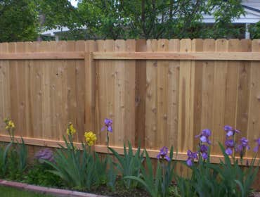 Fences