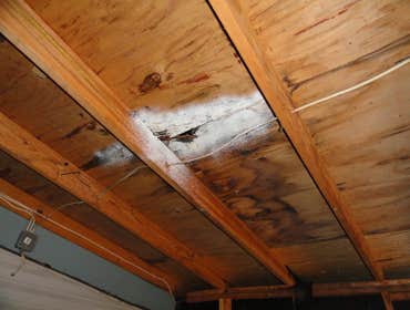 Project photos from Echols Home Inspections Old Knob n Tube wiring.
Damaged Electrical Panel
Slight Water Intrusion
Beer Can Hot Water Heater Flue (N