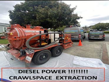 Photos by Water Damage Solution #1 Water Damage Mold Removal Specialist Crawl Space Clean Up