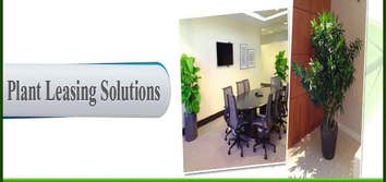 Miami plant leasing Since 1991, the Plant Care name has been the one that locals in Miami and surrounding areas around South Florida have relied on for