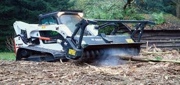 Machines clean tree