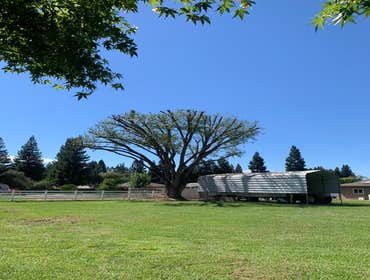 Photos by Professional Tree Service Usa #1