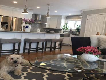 Kitchen/Dining Area Remodel