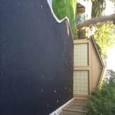 Blacktop driveway