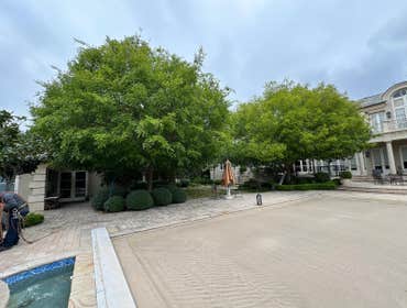 Photos by Majestic Tree Care Inc #7