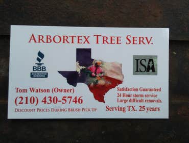 Photos from Arbortex Tree Service