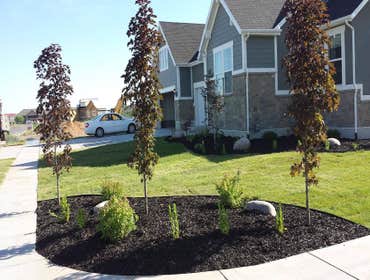 Landscaping